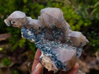 Natural Smokey Quartz Clusters with Foitite x 6 From Erongo, Namibia - Toprock Gemstones and Minerals 
