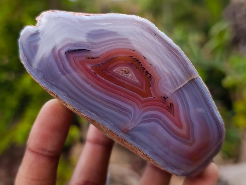 Polished Large One Side Red Shashe River Agate Nodules x 6 From Shashe River, Zimbabwe - Toprock Gemstones and Minerals 