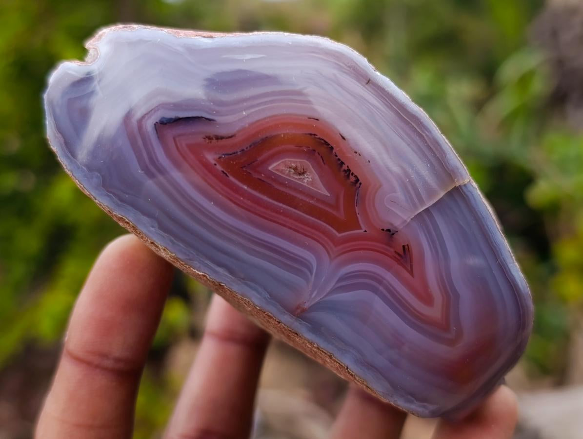 Polished Large One Side Red Shashe River Agate Nodules x 6 From Shashe River, Zimbabwe - Toprock Gemstones and Minerals 