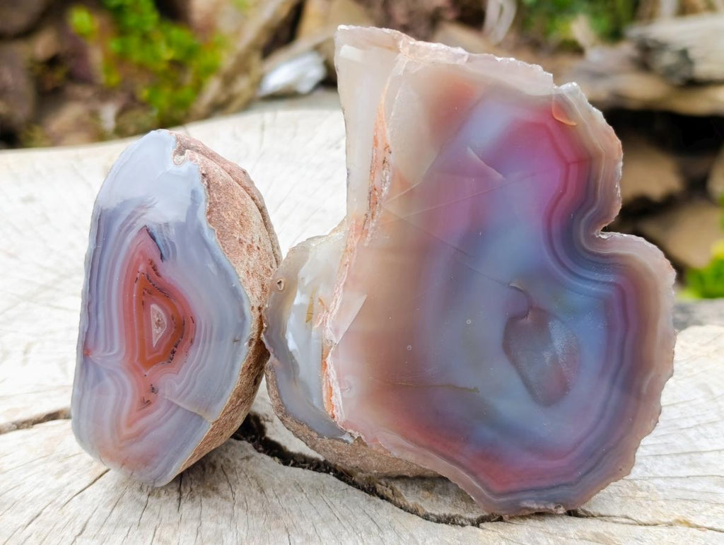 Polished Large One Side Red Shashe River Agate Nodules x 6 From Shashe River, Zimbabwe - Toprock Gemstones and Minerals 