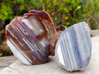 Polished Large One Side Red Shashe River Agate Nodules x 6 From Shashe River, Zimbabwe - Toprock Gemstones and Minerals 