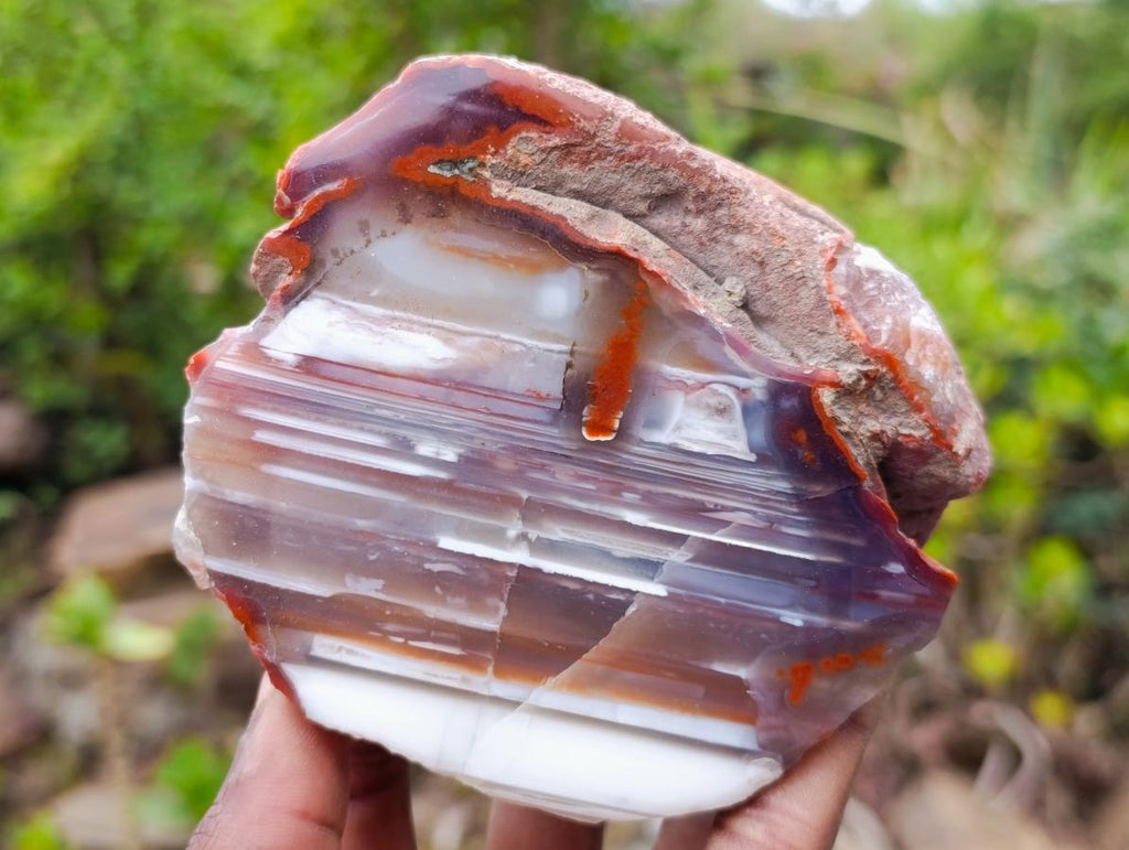 Polished Large One Side Red Shashe River Agate Nodules x 6 From Shashe River, Zimbabwe - Toprock Gemstones and Minerals 