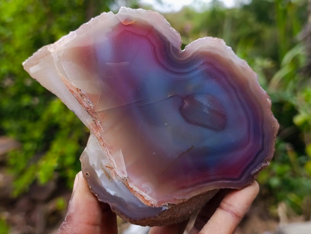 Polished Large One Side Red Shashe River Agate Nodules x 6 From Shashe River, Zimbabwe - Toprock Gemstones and Minerals 