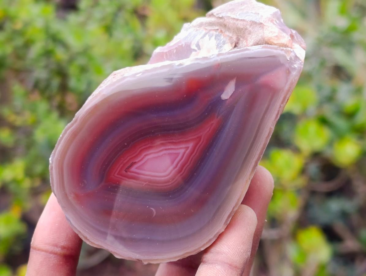 Polished Large One Side Red Shashe River Agate Nodules x 6 From Shashe River, Zimbabwe - Toprock Gemstones and Minerals 