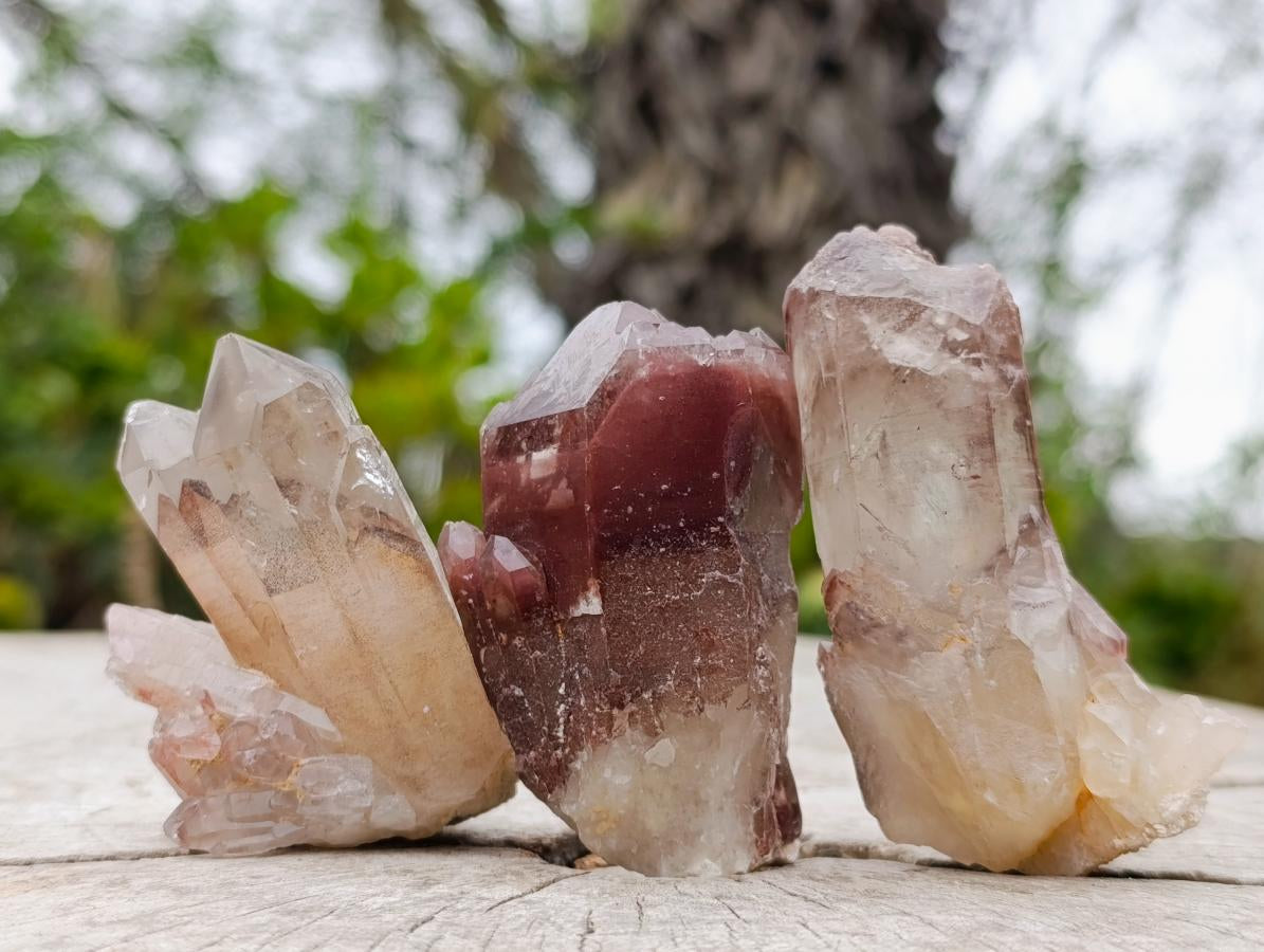 Natural Red Hematoid Quartz Crystals and Clusters x 24 From Karoi, Zimbabwe - Toprock Gemstones and Minerals 