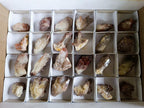 Natural Red Hematoid Quartz Crystals and Clusters x 24 From Karoi, Zimbabwe - Toprock Gemstones and Minerals 