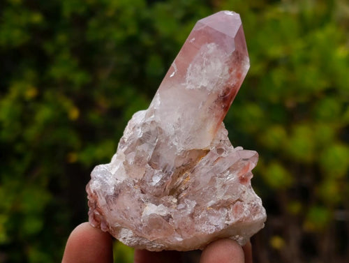 Natural Red Hematoid Quartz Crystals and Clusters x 24 From Karoi, Zimbabwe - Toprock Gemstones and Minerals 