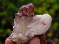 Natural Red Hematoid Quartz Crystals and Clusters x 24 From Karoi, Zimbabwe - Toprock Gemstones and Minerals 