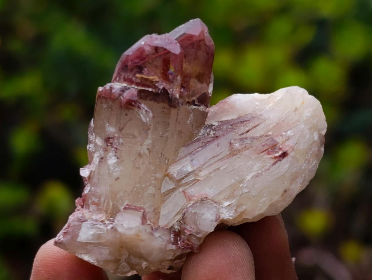Natural Red Hematoid Quartz Crystals and Clusters x 24 From Karoi, Zimbabwe - Toprock Gemstones and Minerals 