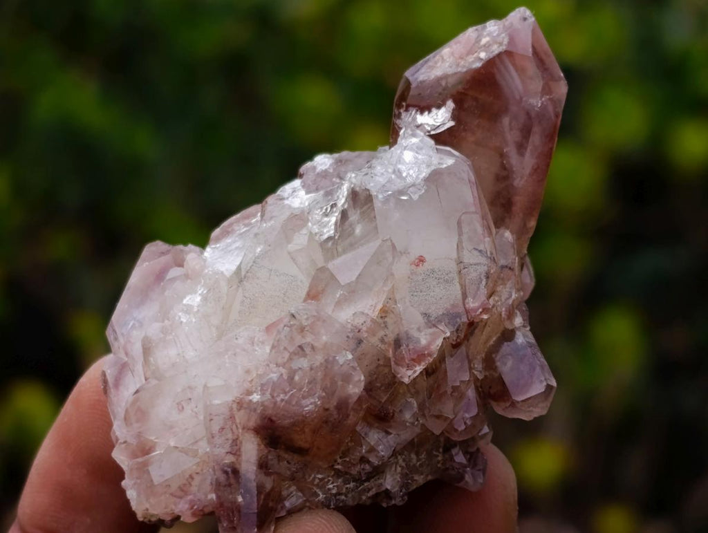 Natural Red Hematoid Quartz Crystals and Clusters x 24 From Karoi, Zimbabwe - Toprock Gemstones and Minerals 