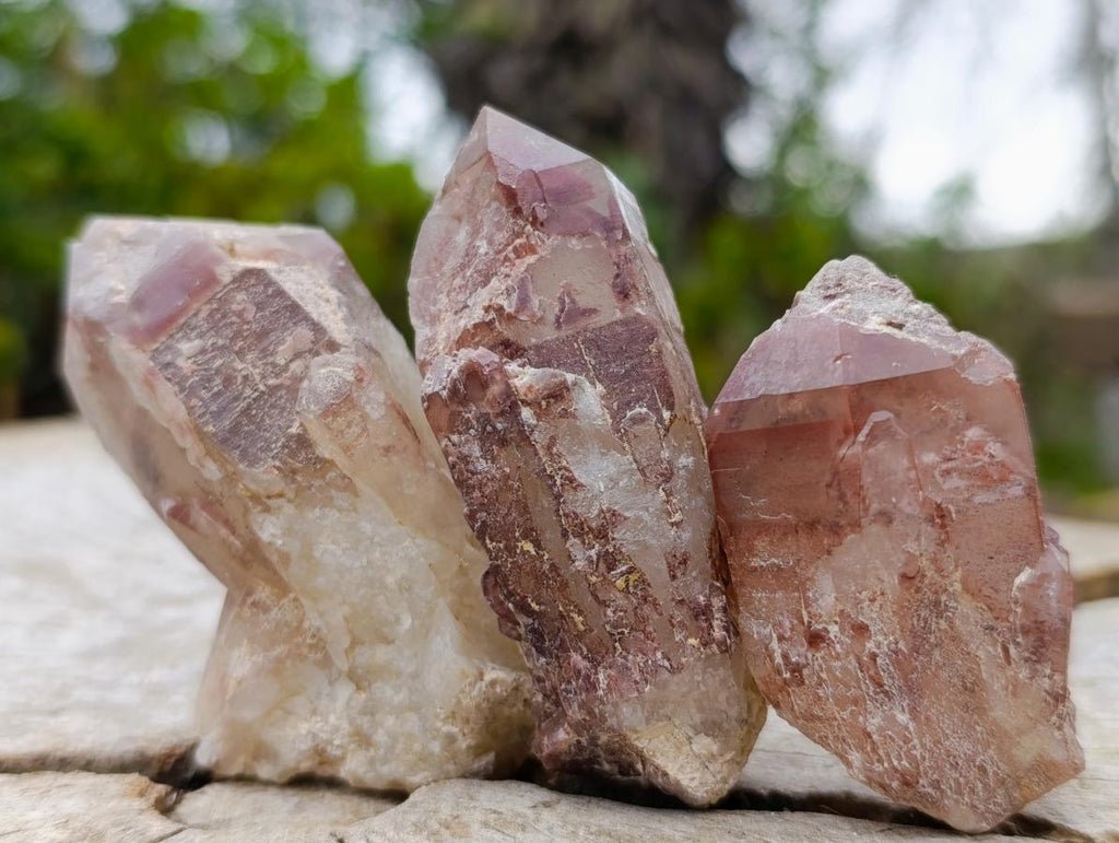 Natural Red Hematoid Quartz Crystals and Clusters x 24 From Karoi, Zimbabwe - Toprock Gemstones and Minerals 