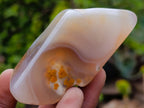 Polished One Side Red Shashe River Agate Nodules x 16 From Shashe River, Zimbabwe - Toprock Gemstones and Minerals 