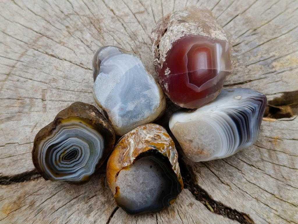 Polished One Side Red Shashe River Agate Nodules x 16 From Shashe River, Zimbabwe - Toprock Gemstones and Minerals 