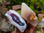 Polished One Side Red Shashe River Agate Nodules x 16 From Shashe River, Zimbabwe - Toprock Gemstones and Minerals 