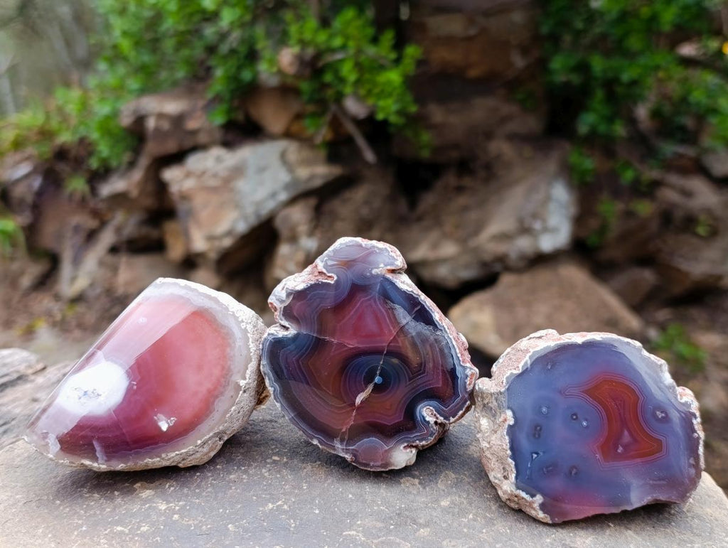 Polished One Side Red Shashe River Agate Nodules x 16 From Shashe River, Zimbabwe - Toprock Gemstones and Minerals 