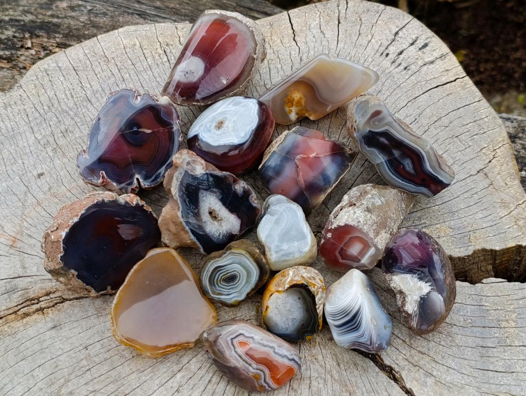 Polished One Side Red Shashe River Agate Nodules x 16 From Shashe River, Zimbabwe - Toprock Gemstones and Minerals 