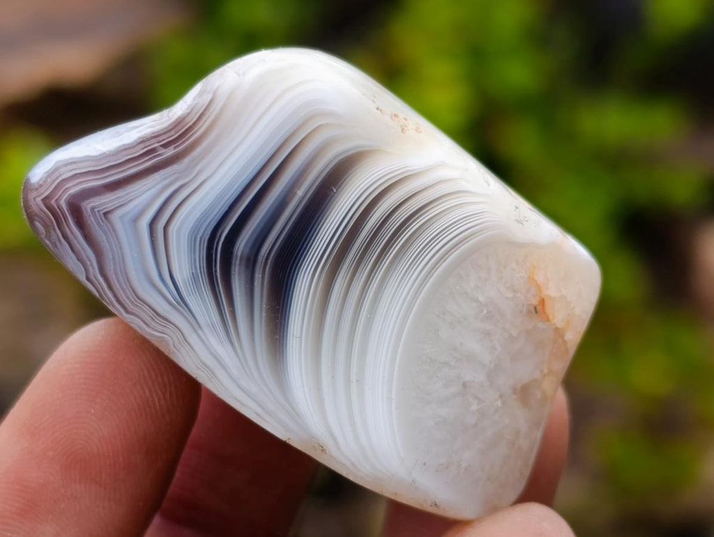 Polished One Side Red Shashe River Agate Nodules x 16 From Shashe River, Zimbabwe - Toprock Gemstones and Minerals 