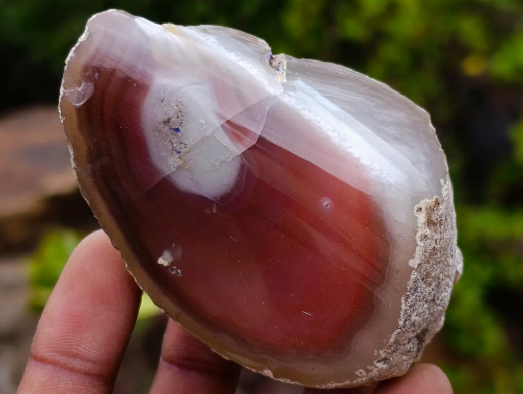 Polished One Side Red Shashe River Agate Nodules x 16 From Shashe River, Zimbabwe - Toprock Gemstones and Minerals 