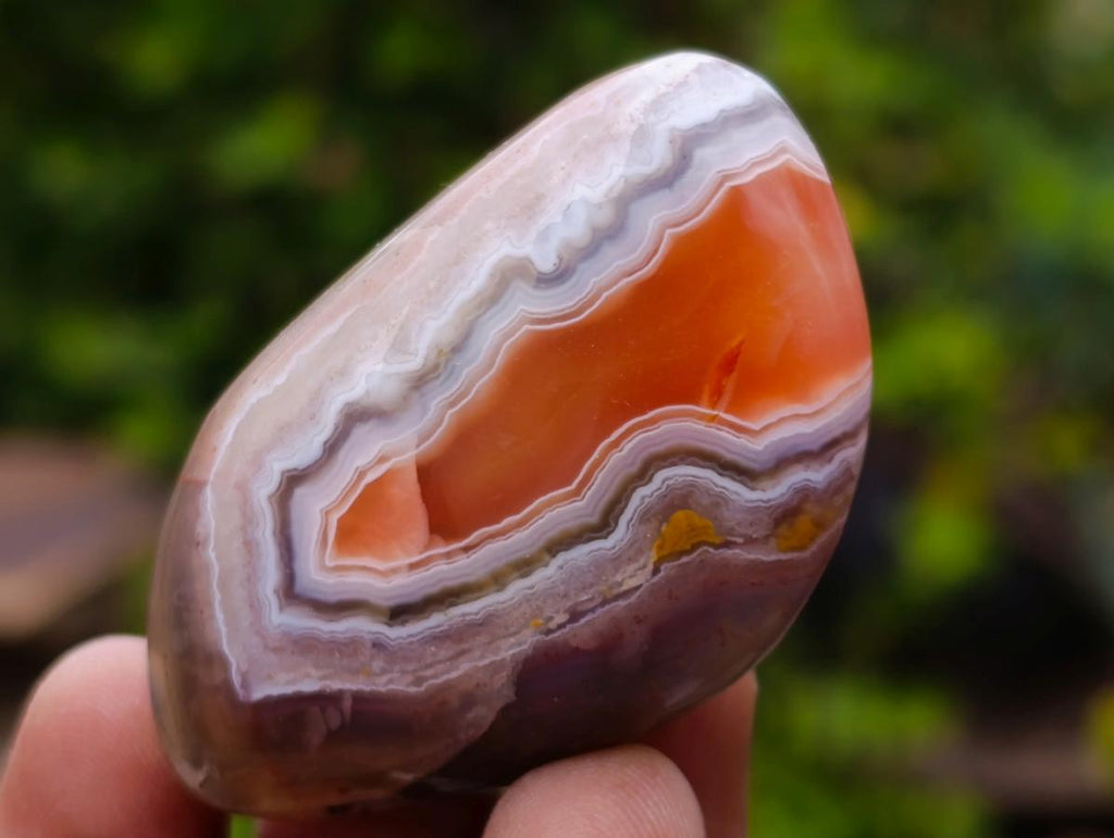 Polished One Side Red Shashe River Agate Nodules x 16 From Shashe River, Zimbabwe - Toprock Gemstones and Minerals 