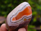 Polished One Side Red Shashe River Agate Nodules x 16 From Shashe River, Zimbabwe - Toprock Gemstones and Minerals 