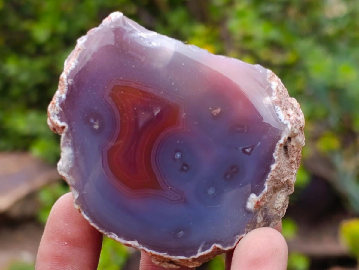 Polished One Side Red Shashe River Agate Nodules x 16 From Shashe River, Zimbabwe - Toprock Gemstones and Minerals 