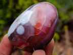 Polished One Side Red Shashe River Agate Nodules x 16 From Shashe River, Zimbabwe - Toprock Gemstones and Minerals 