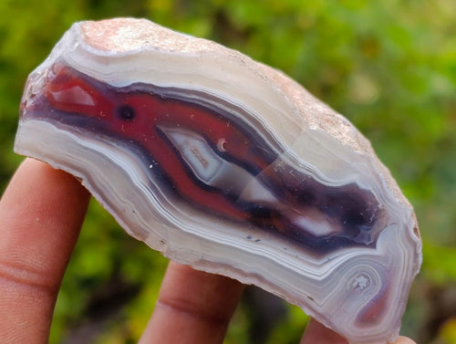 Polished One Side Red Shashe River Agate Nodules x 16 From Shashe River, Zimbabwe - Toprock Gemstones and Minerals 