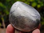 Polished Basalt Pharaoh Stone Free Forms x 12 From Iron Duke Mine, Zimbabwe - Toprock Gemstones and Minerals 