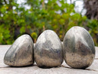 Polished Basalt Pharaoh Stone Free Forms x 12 From Iron Duke Mine, Zimbabwe - Toprock Gemstones and Minerals 