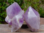 Natural Large Jacaranda Amethyst Single Crystals x 3 From Mumbwa, Zambia - Toprock Gemstones and Minerals 
