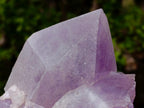Natural Large Jacaranda Amethyst Single Crystals x 3 From Mumbwa, Zambia - Toprock Gemstones and Minerals 