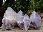 Natural Large Jacaranda Amethyst Single Crystals x 3 From Mumbwa, Zambia - Toprock Gemstones and Minerals 