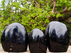 Polished Black Tourmaline Standing Display Pieces x 3 From Madagascar - Toprock Gemstones and Minerals 