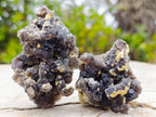 Natural Smokey Fluorite Specimens with Yellow Vermiculite Mica x 12 From Erongo, Namibia - Toprock Gemstones and Minerals 