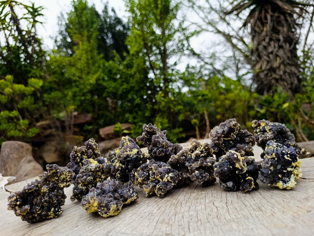 Natural Smokey Fluorite Specimens with Yellow Vermiculite Mica x 12 From Erongo, Namibia - Toprock Gemstones and Minerals 