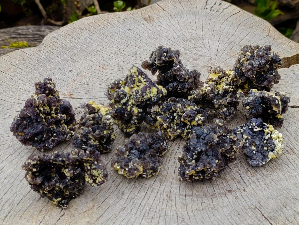 Natural Smokey Fluorite Specimens with Yellow Vermiculite Mica x 12 From Erongo, Namibia - Toprock Gemstones and Minerals 