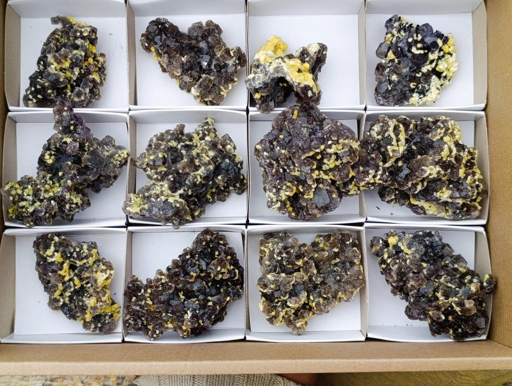 Natural Smokey Fluorite Specimens with Yellow Vermiculite Mica x 12 From Erongo, Namibia - Toprock Gemstones and Minerals 