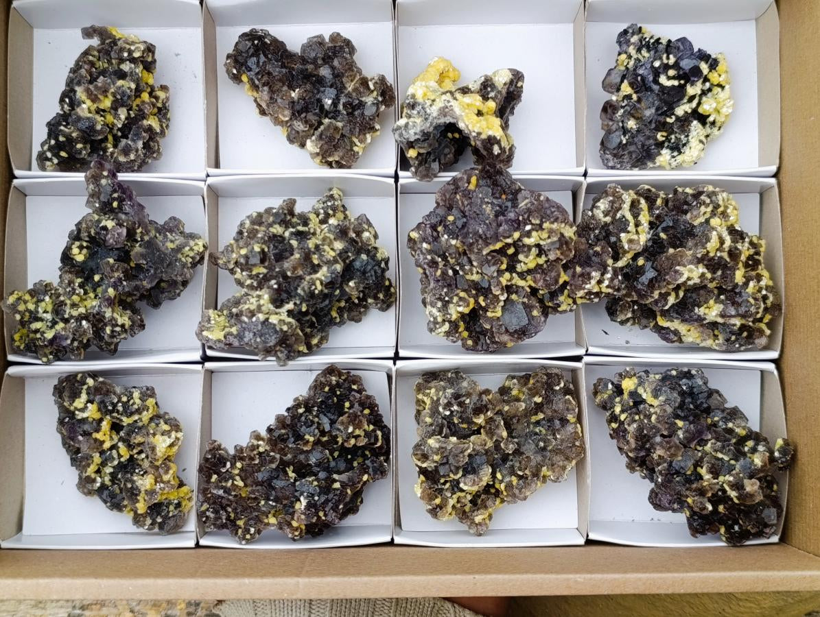 Natural Smokey Fluorite Specimens with Yellow Vermiculite Mica x 12 From Erongo, Namibia - Toprock Gemstones and Minerals 