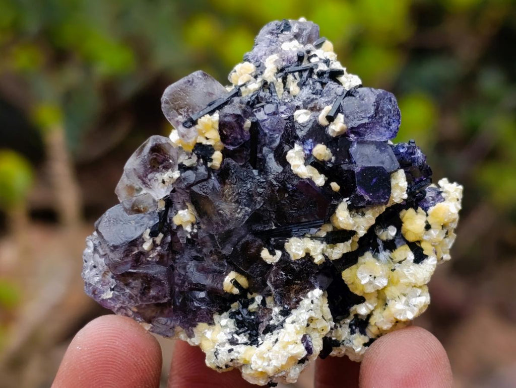 Natural Smokey Fluorite Specimens with Yellow Vermiculite Mica x 12 From Erongo, Namibia - Toprock Gemstones and Minerals 