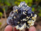 Natural Smokey Fluorite Specimens with Yellow Vermiculite Mica x 12 From Erongo, Namibia - Toprock Gemstones and Minerals 