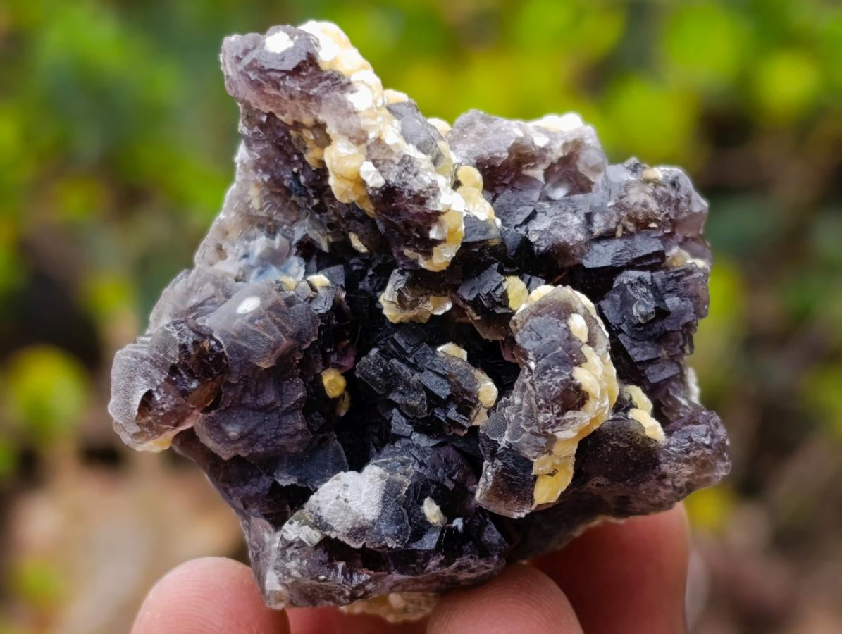 Natural Smokey Fluorite Specimens with Yellow Vermiculite Mica x 12 From Erongo, Namibia - Toprock Gemstones and Minerals 