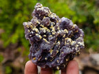 Natural Smokey Fluorite Specimens with Yellow Vermiculite Mica x 12 From Erongo, Namibia - Toprock Gemstones and Minerals 
