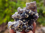 Natural Smokey Fluorite Specimens with Yellow Vermiculite Mica x 12 From Erongo, Namibia - Toprock Gemstones and Minerals 