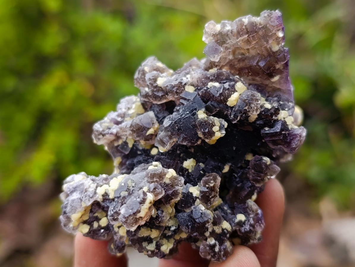 Natural Smokey Fluorite Specimens with Yellow Vermiculite Mica x 12 From Erongo, Namibia - Toprock Gemstones and Minerals 
