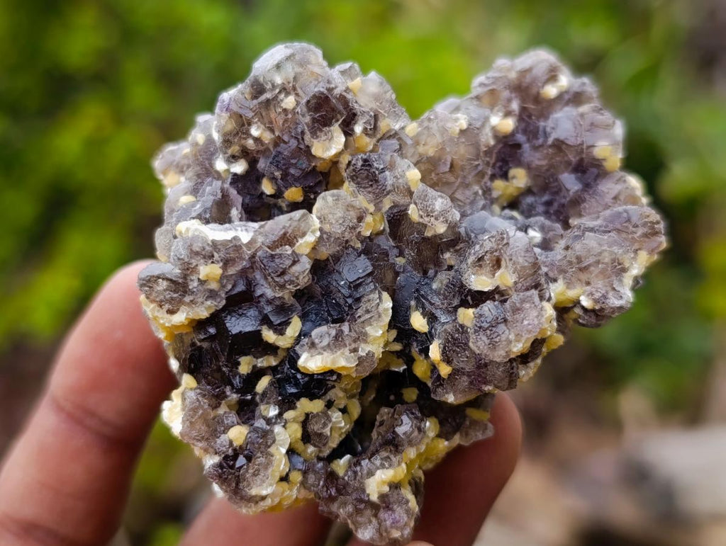 Natural Smokey Fluorite Specimens with Yellow Vermiculite Mica x 12 From Erongo, Namibia - Toprock Gemstones and Minerals 