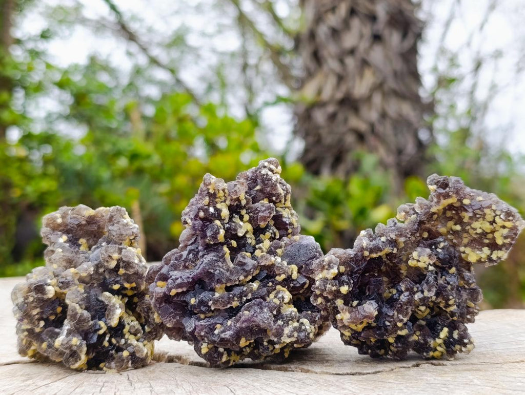 Natural Smokey Fluorite Specimens with Yellow Vermiculite Mica x 12 From Erongo, Namibia - Toprock Gemstones and Minerals 
