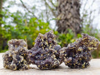 Natural Smokey Fluorite Specimens with Yellow Vermiculite Mica x 12 From Erongo, Namibia - Toprock Gemstones and Minerals 