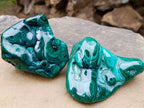 Polished and Natural Flower Banded Malachite Free Forms x 2 From Congo - Toprock Gemstones and Minerals 