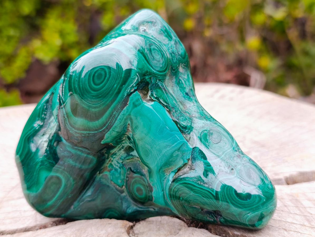Polished and Natural Flower Banded Malachite Free Forms x 2 From Congo - Toprock Gemstones and Minerals 