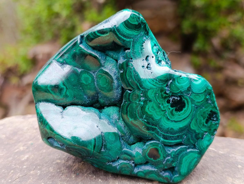 Polished and Natural Flower Banded Malachite Free Forms x 2 From Congo - Toprock Gemstones and Minerals 